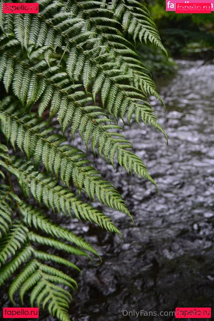 kirateen Onlyfans Photo Gallery 