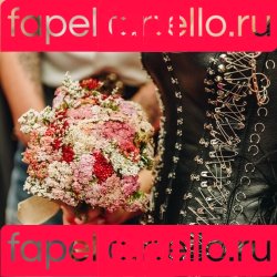 Amy Taylor Onlyfans Photo Gallery 