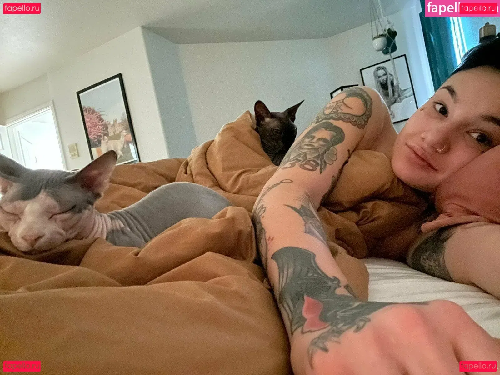 nikkihearts Onlyfans Photo Gallery 