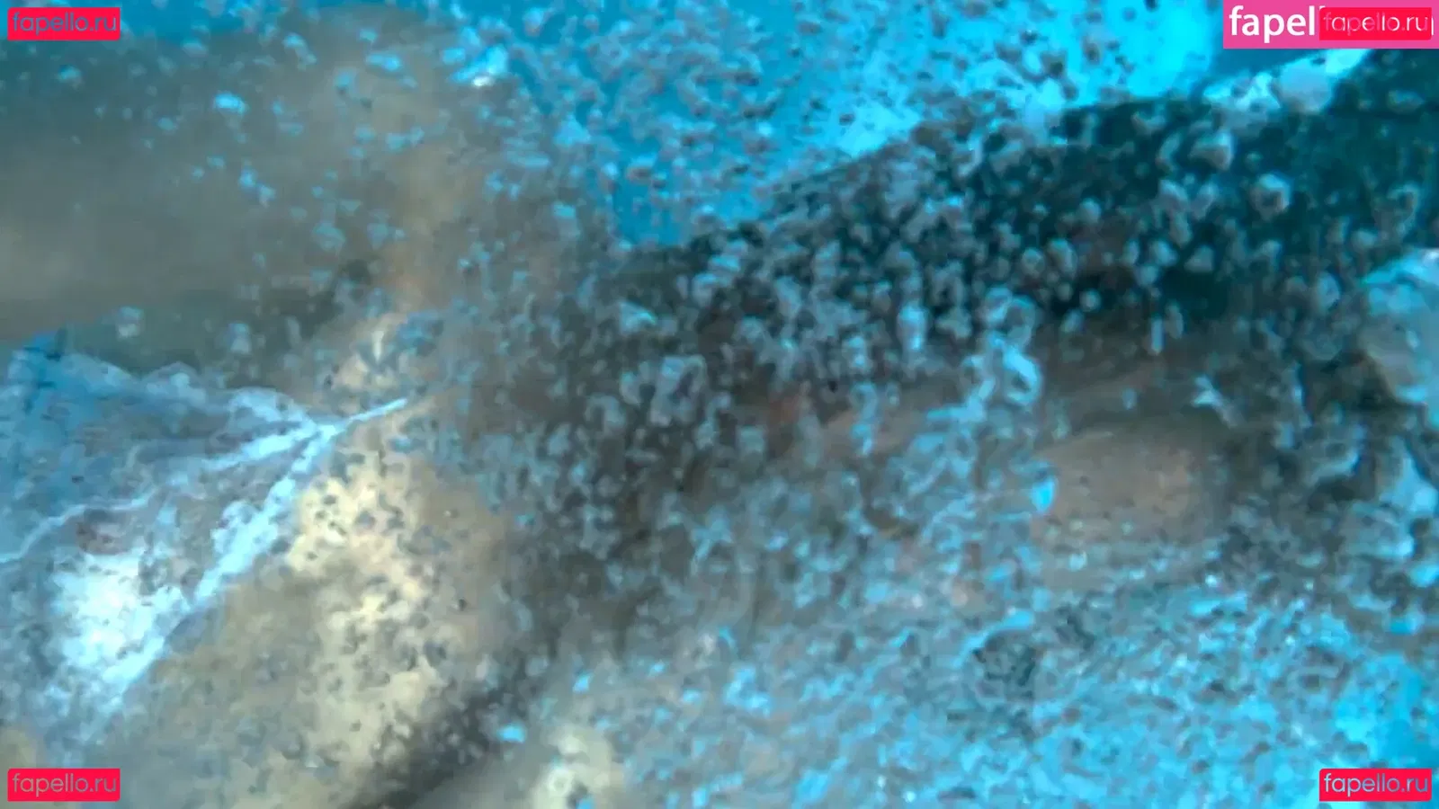 Dasha Nekrasova Onlyfans Photo Gallery 