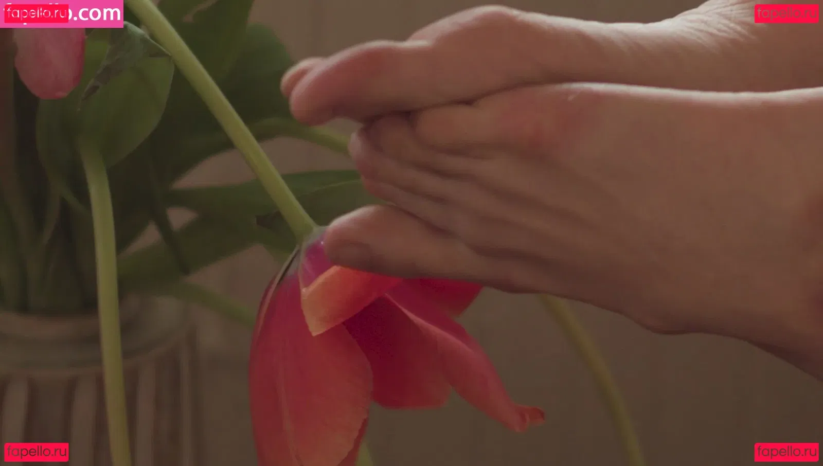 Dasha Nekrasova Onlyfans Photo Gallery 