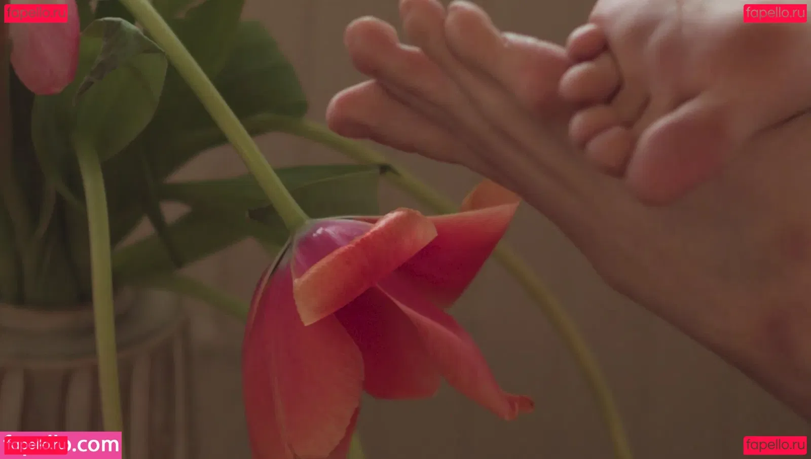 Dasha Nekrasova Onlyfans Photo Gallery 