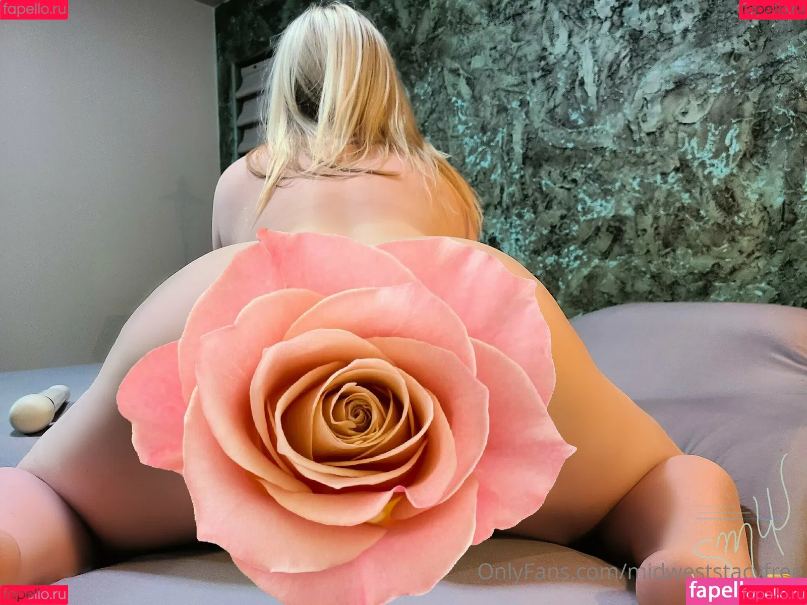 midweststacyfree Onlyfans Photo Gallery 