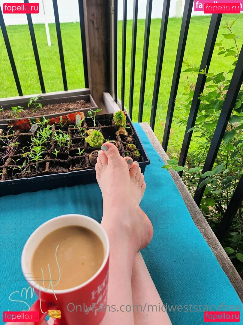 midweststacyfree Onlyfans Photo Gallery 