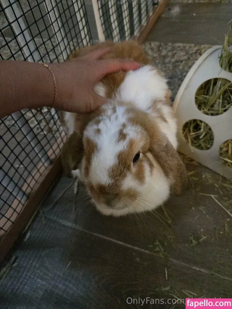 tinyhakka Onlyfans Photo Gallery 