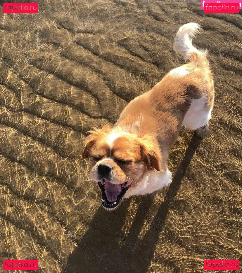 Ruby Carter Onlyfans Photo Gallery 