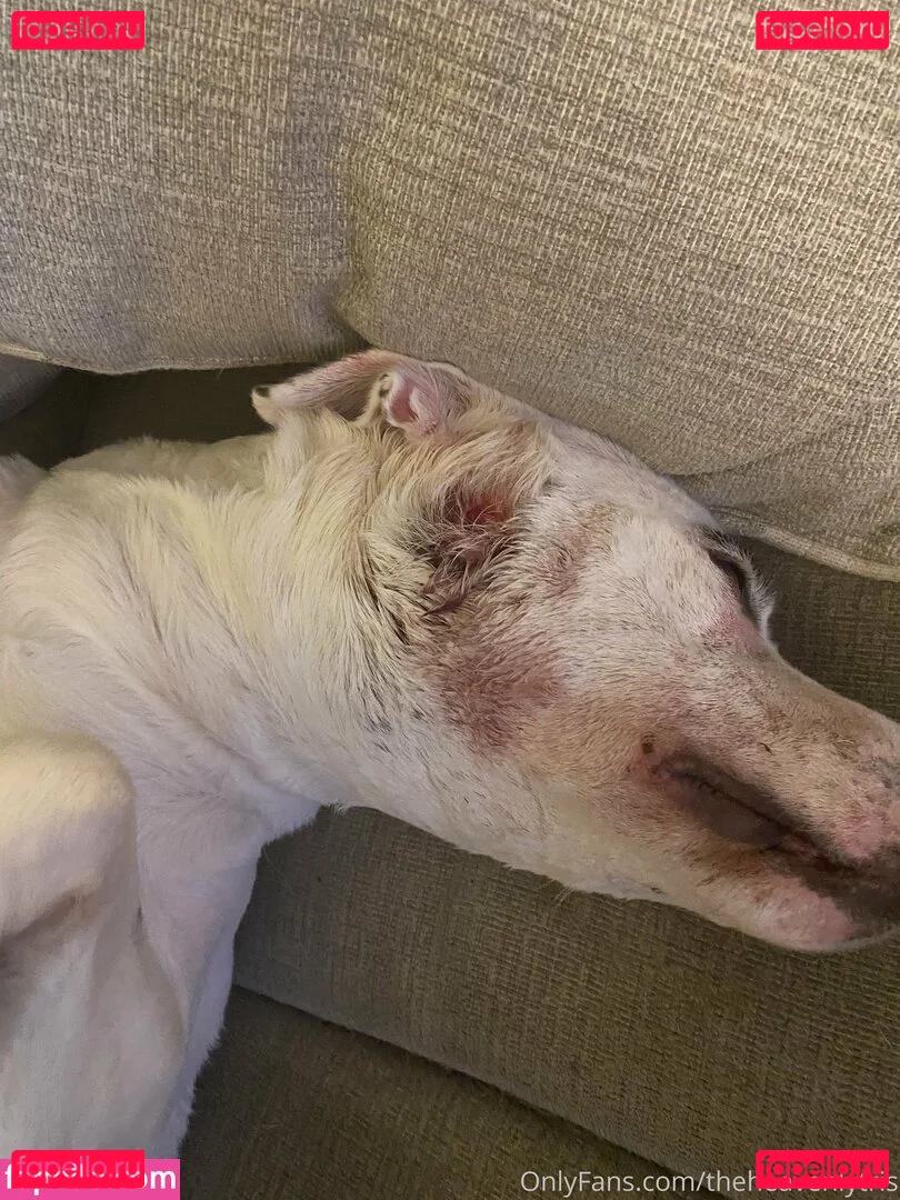 theheavenlytris Onlyfans Photo Gallery 