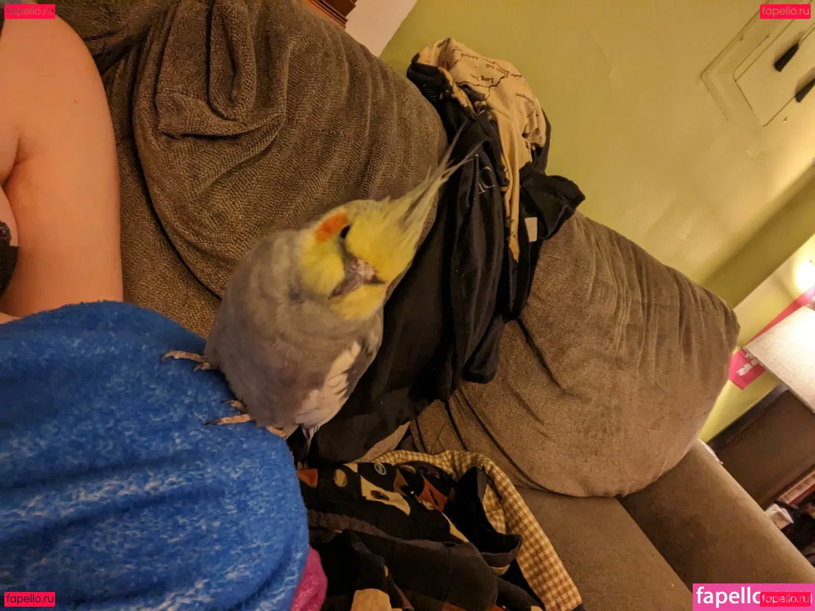 Natalie Minx Onlyfans Photo Gallery 