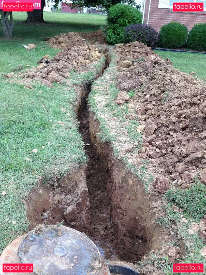 cbadonis Onlyfans Photo Gallery 