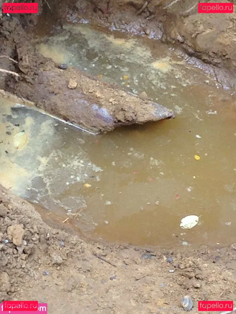 cbadonis Onlyfans Photo Gallery 