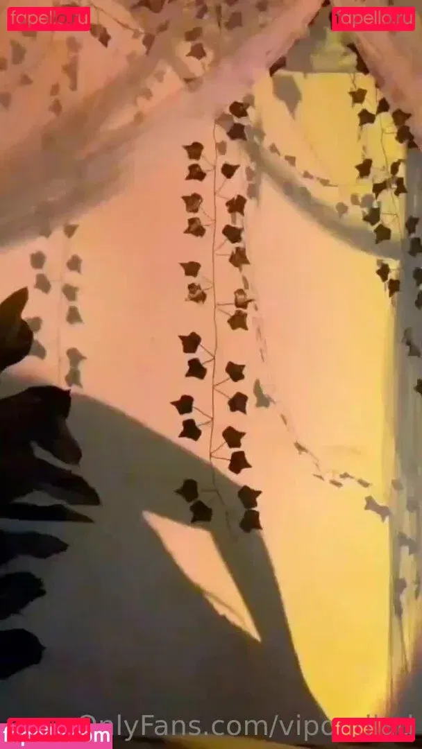 Vipondlad Onlyfans Photo Gallery 