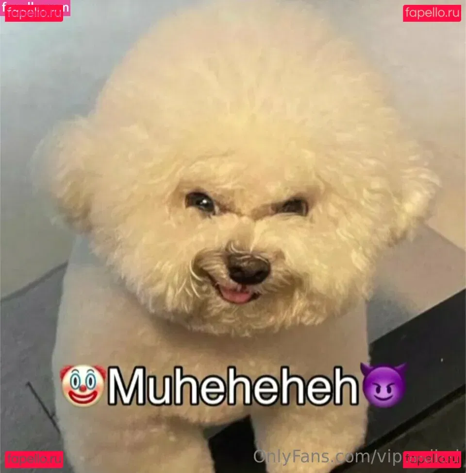 Vipondlad Onlyfans Photo Gallery 