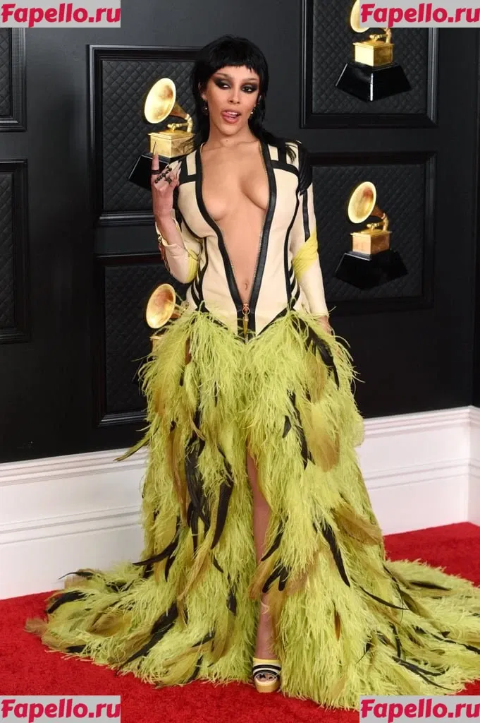 Doja Cat Onlyfans Photo Gallery 