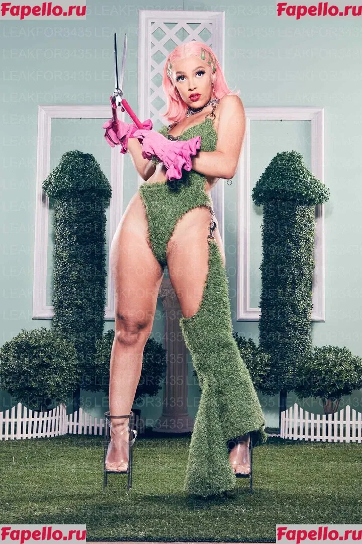 Doja Cat Onlyfans Photo Gallery 