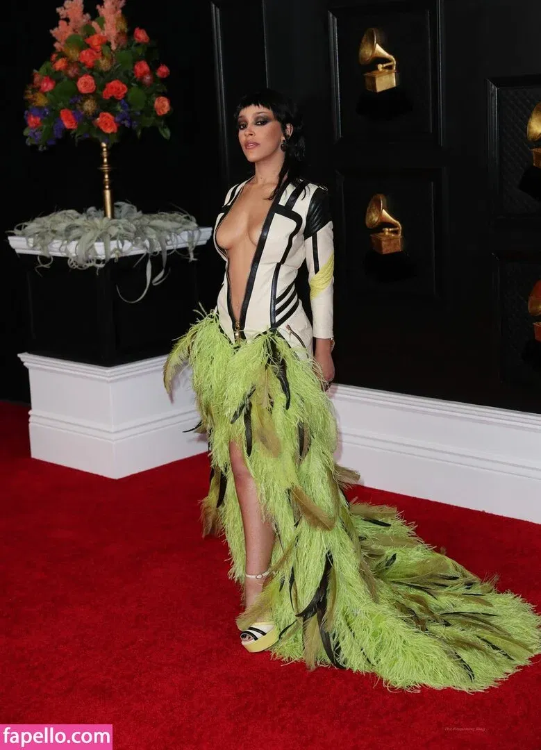 Doja Cat Onlyfans Photo Gallery 