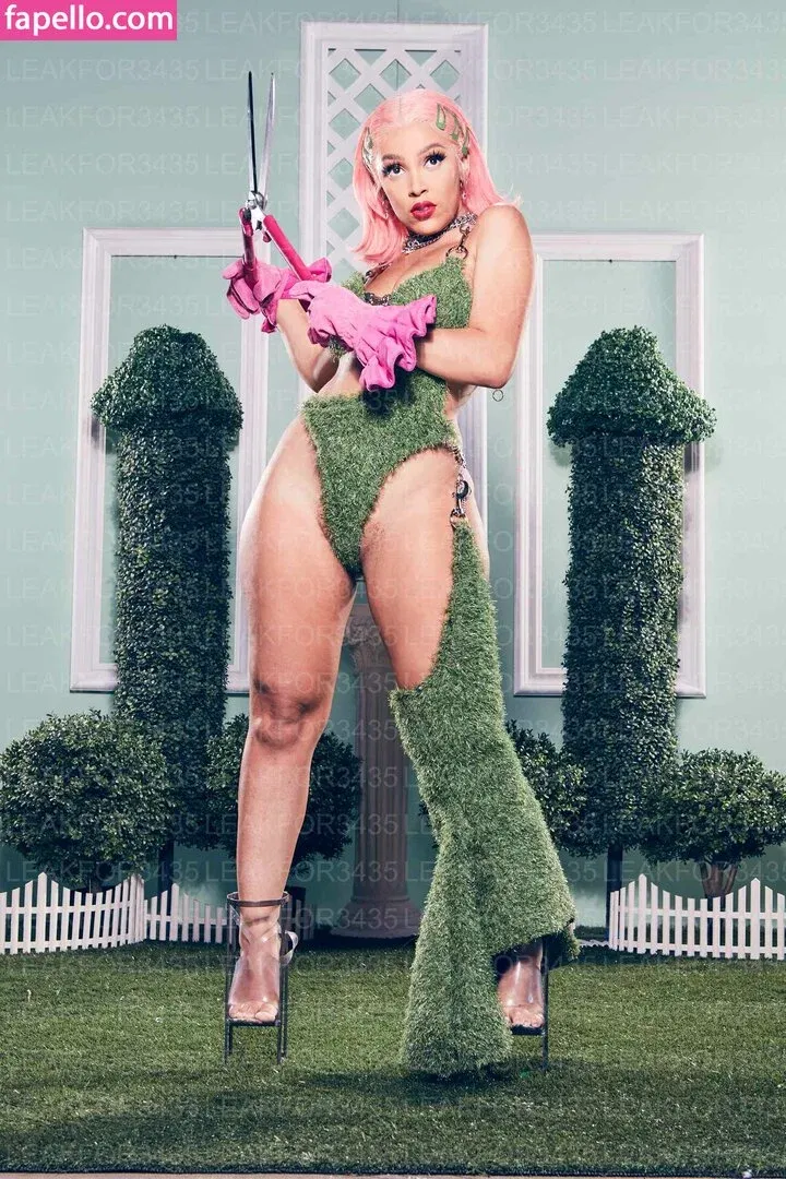 Doja Cat Onlyfans Photo Gallery 