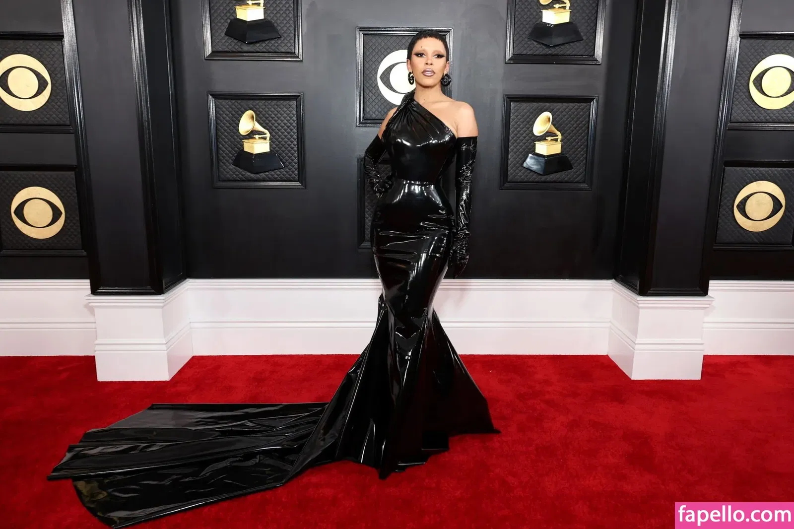 Doja Cat Onlyfans Photo Gallery 