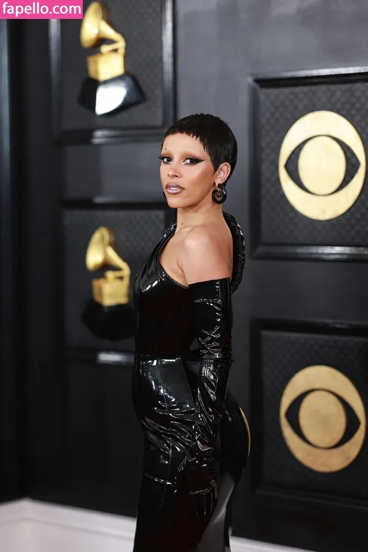 Doja Cat Onlyfans Photo Gallery 