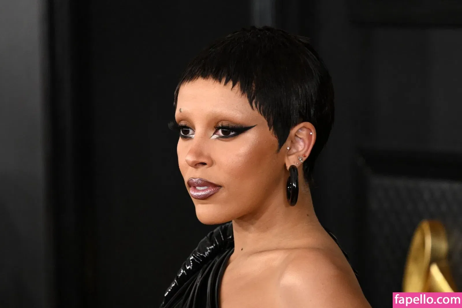 Doja Cat Onlyfans Photo Gallery 