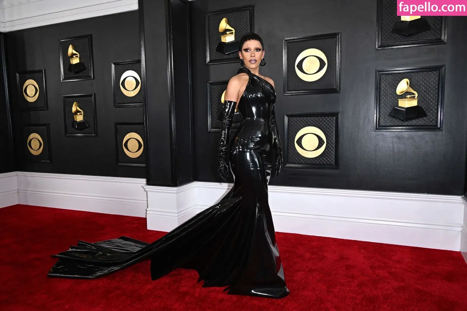 Doja Cat Onlyfans Photo Gallery 