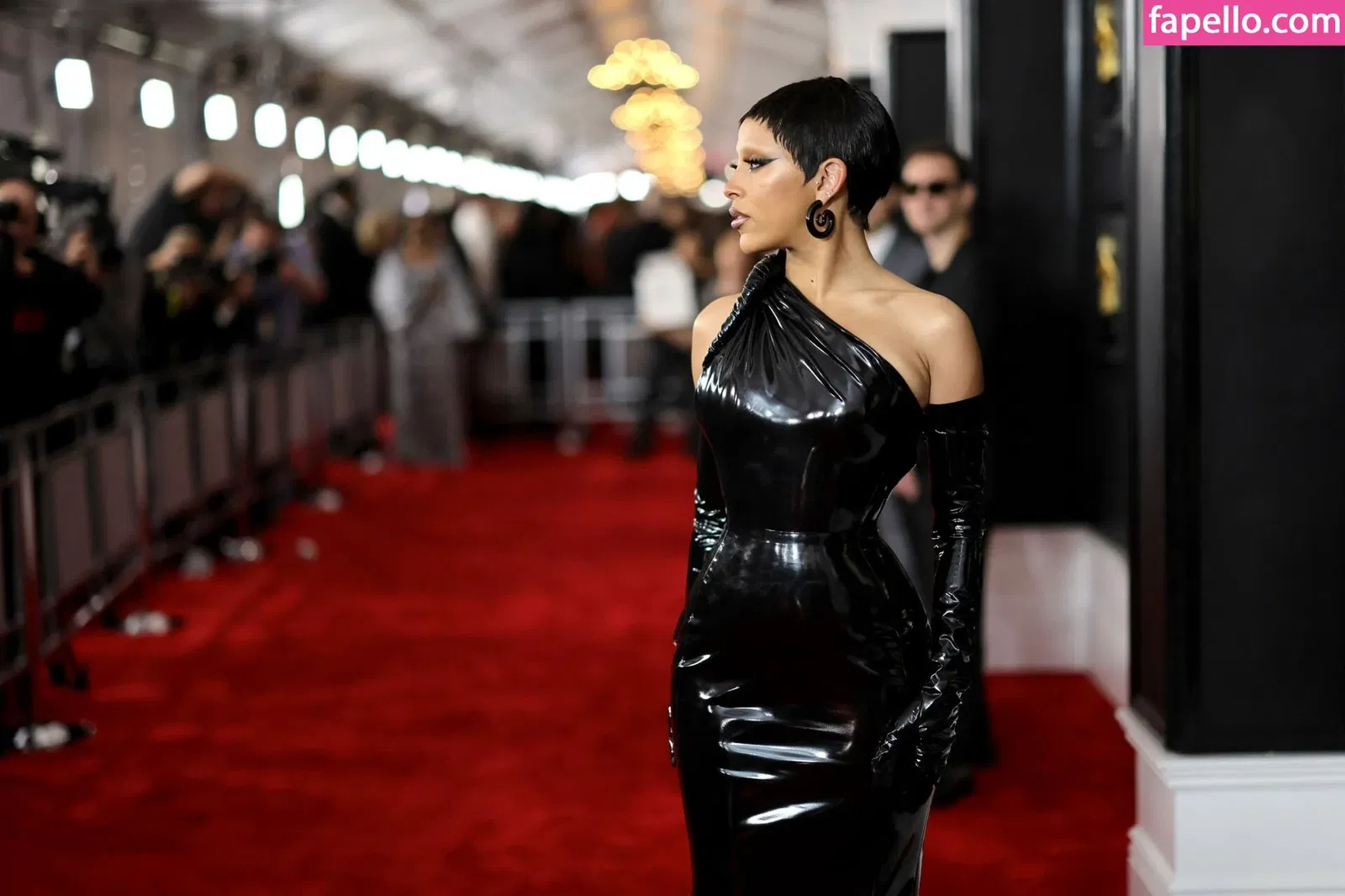 Doja Cat Onlyfans Photo Gallery 