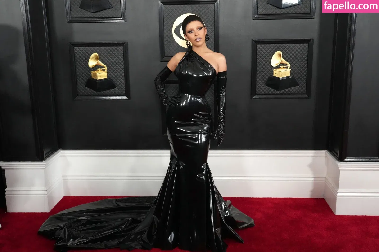 Doja Cat Onlyfans Photo Gallery 