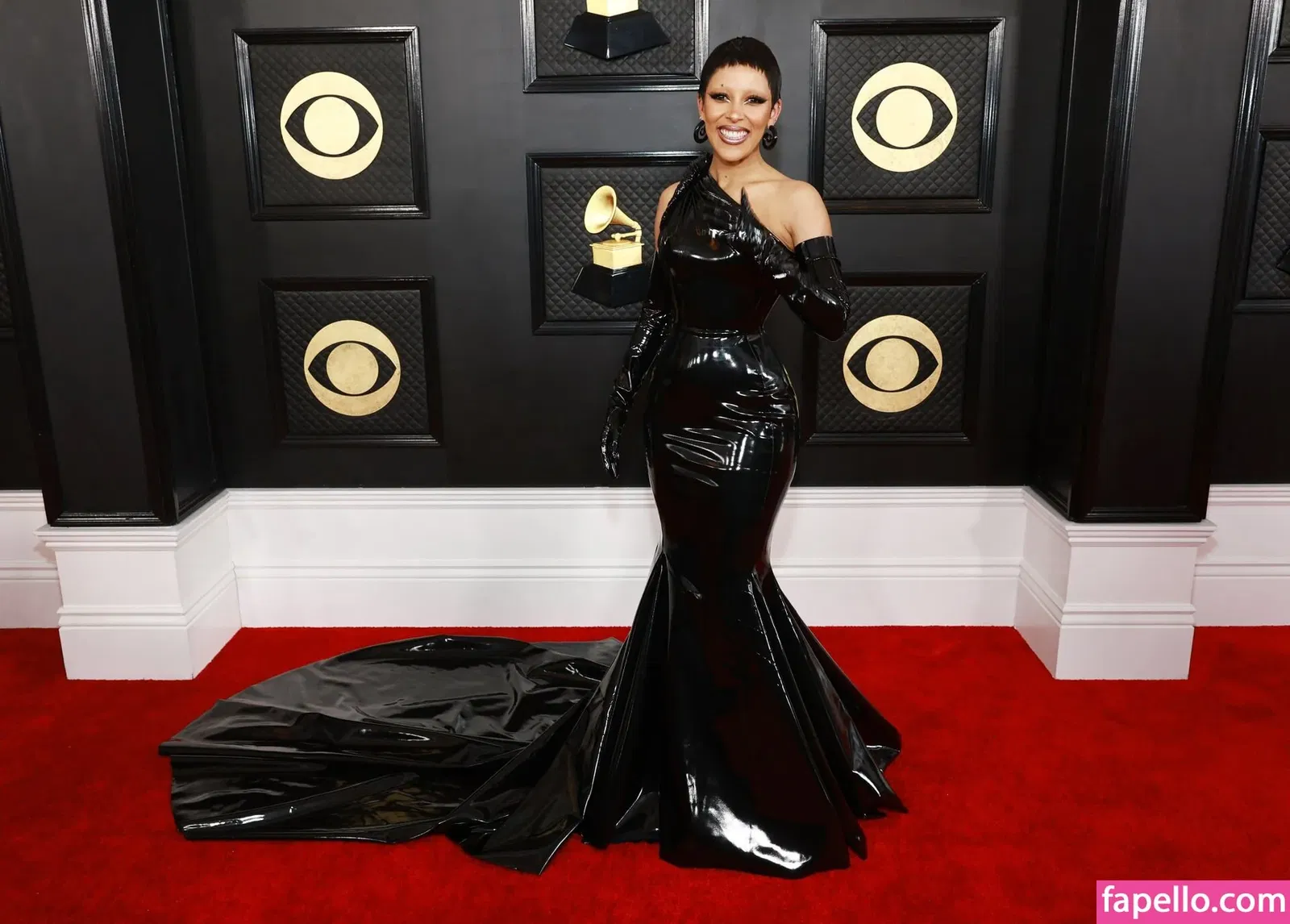 Doja Cat Onlyfans Photo Gallery 