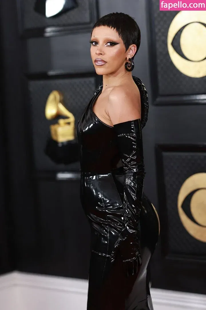 Doja Cat Onlyfans Photo Gallery 