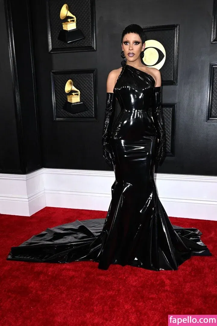 Doja Cat Onlyfans Photo Gallery 