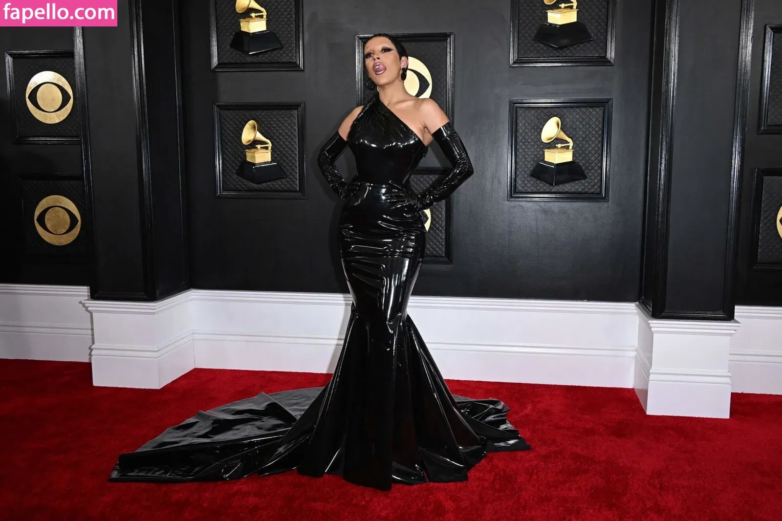 Doja Cat Onlyfans Photo Gallery 