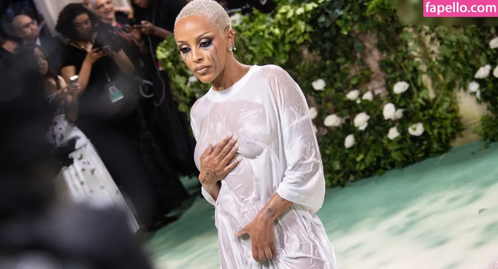 Doja Cat Onlyfans Photo Gallery 