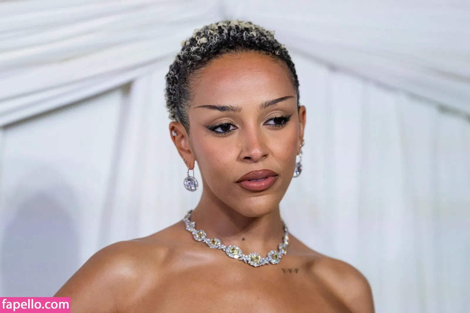 Doja Cat Onlyfans Photo Gallery 