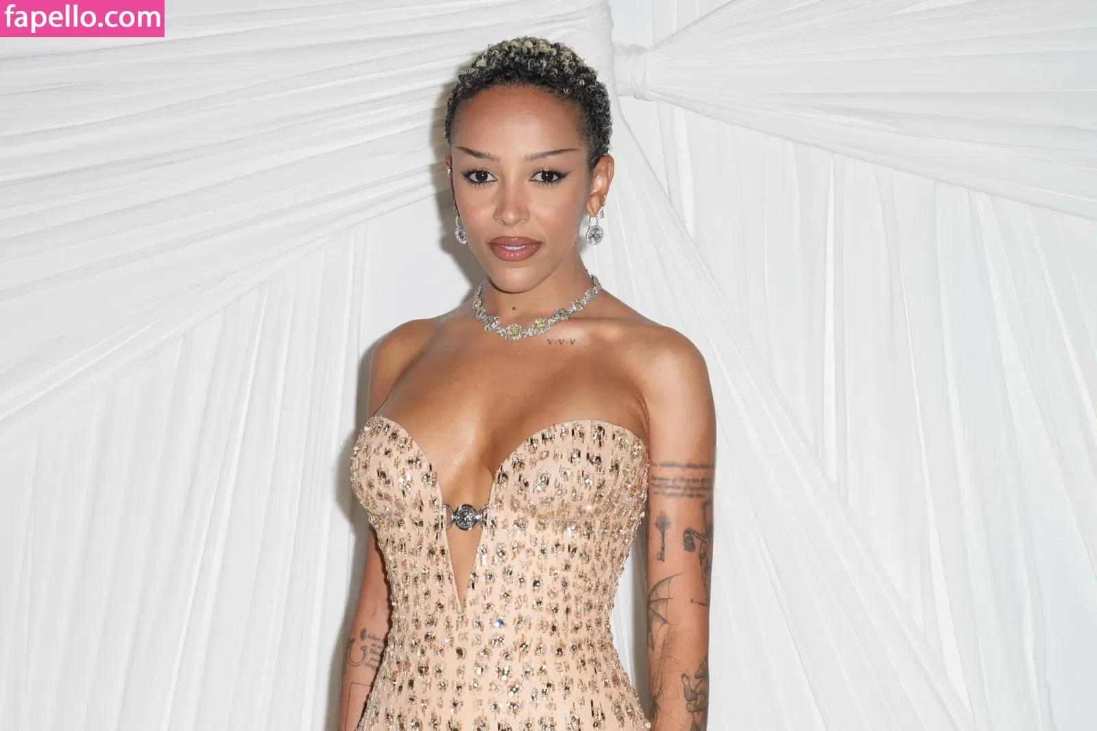 Doja Cat Onlyfans Photo Gallery 