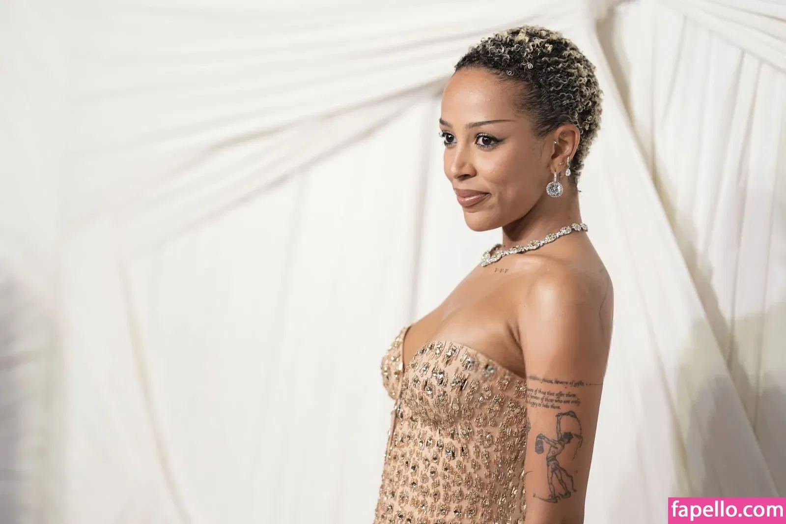 Doja Cat Onlyfans Photo Gallery 