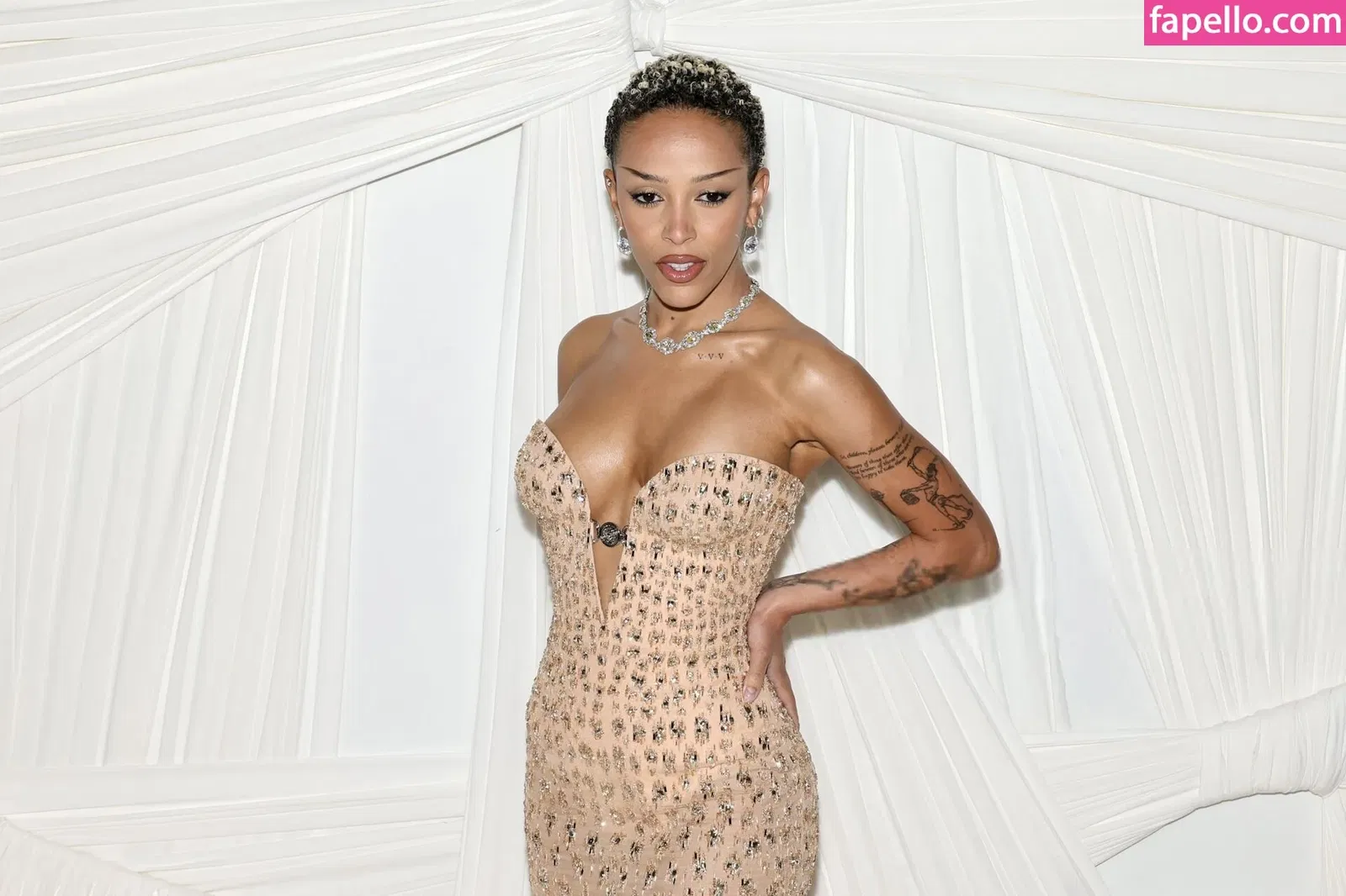 Doja Cat Onlyfans Photo Gallery 