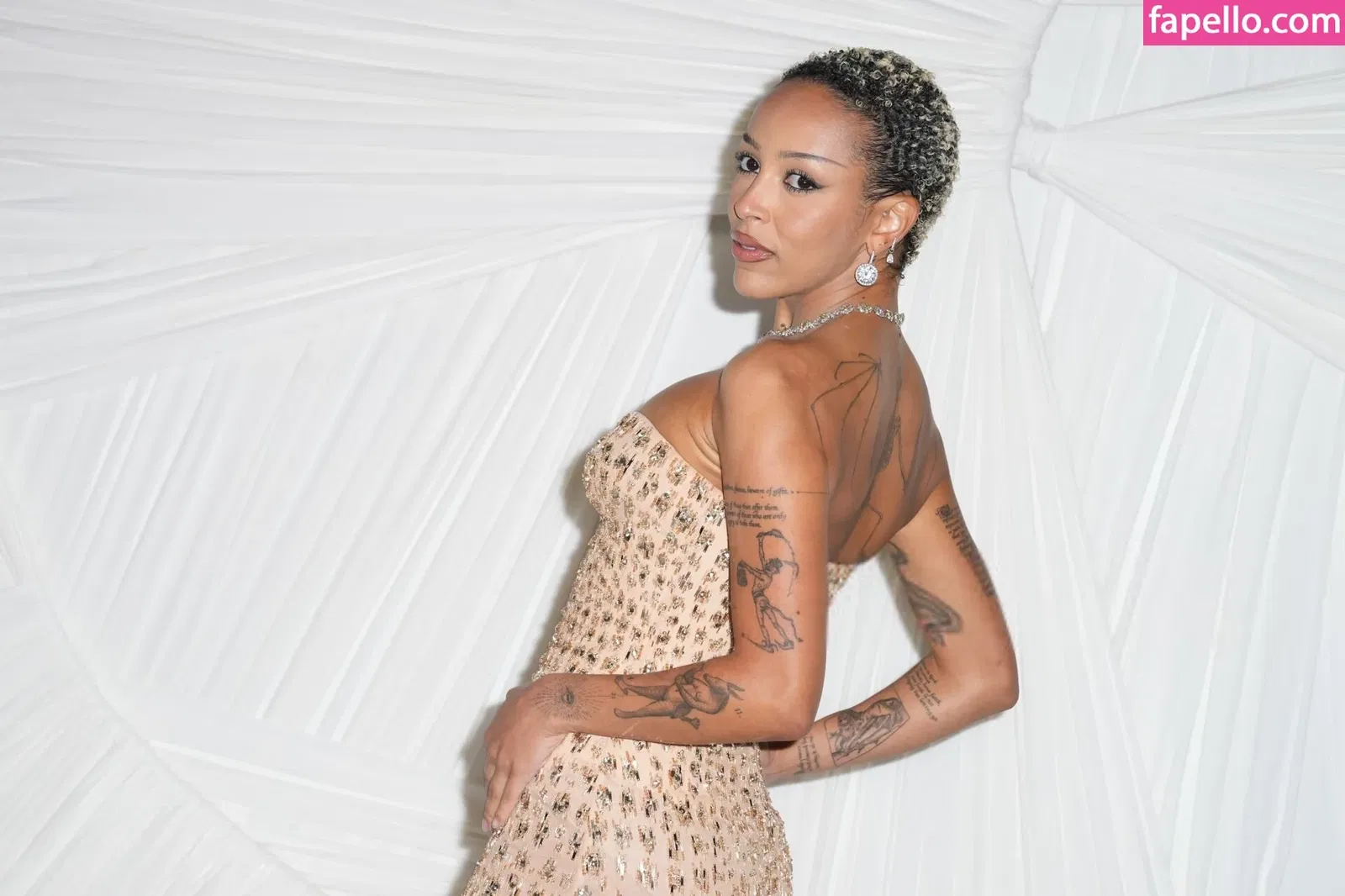 Doja Cat Onlyfans Photo Gallery 