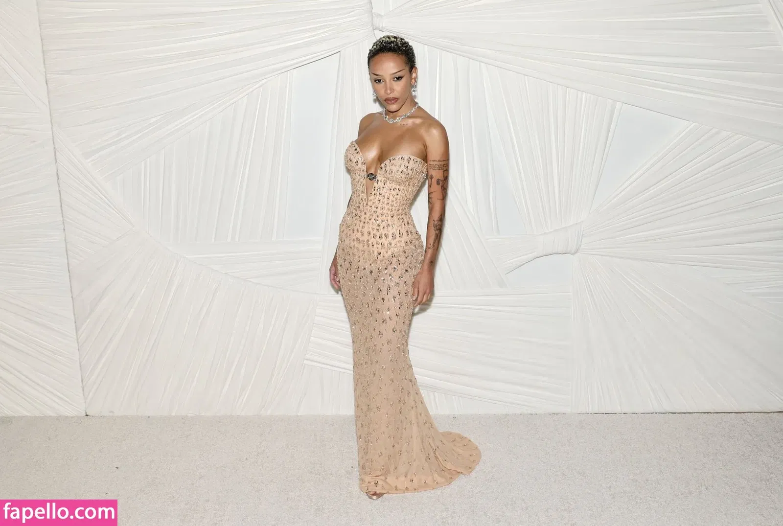 Doja Cat Onlyfans Photo Gallery 