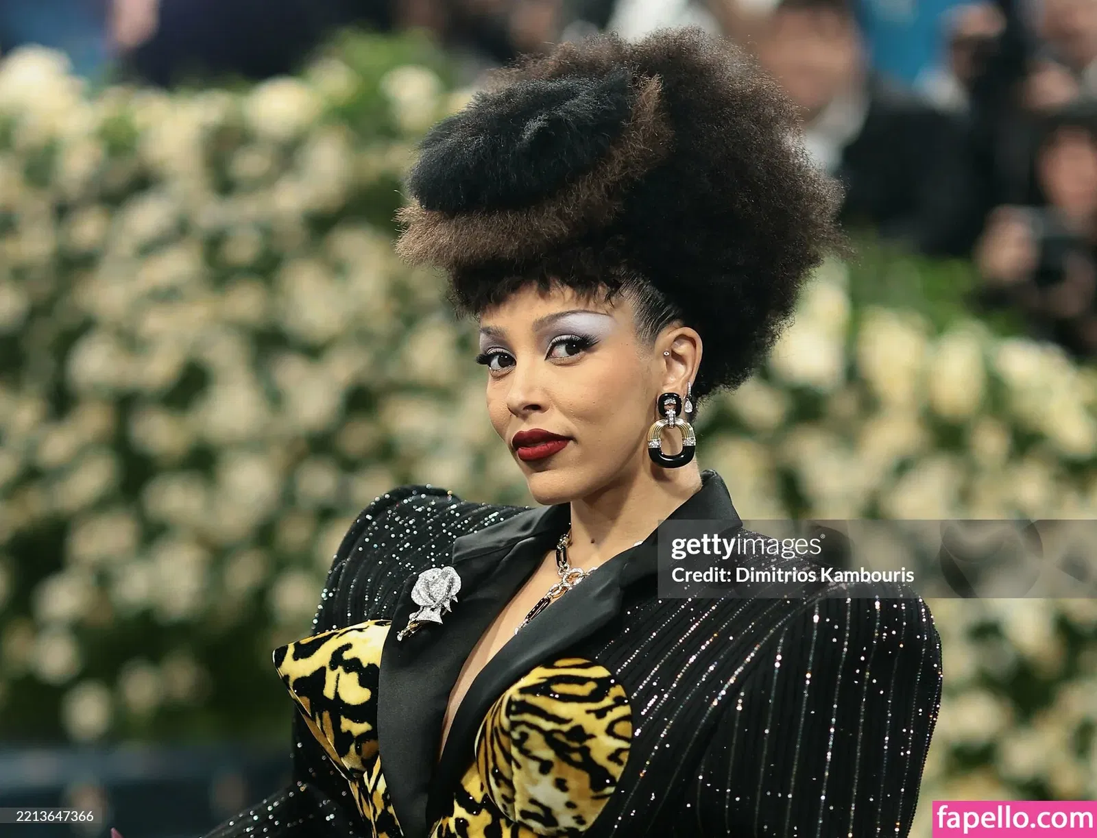 Doja Cat Onlyfans Photo Gallery 