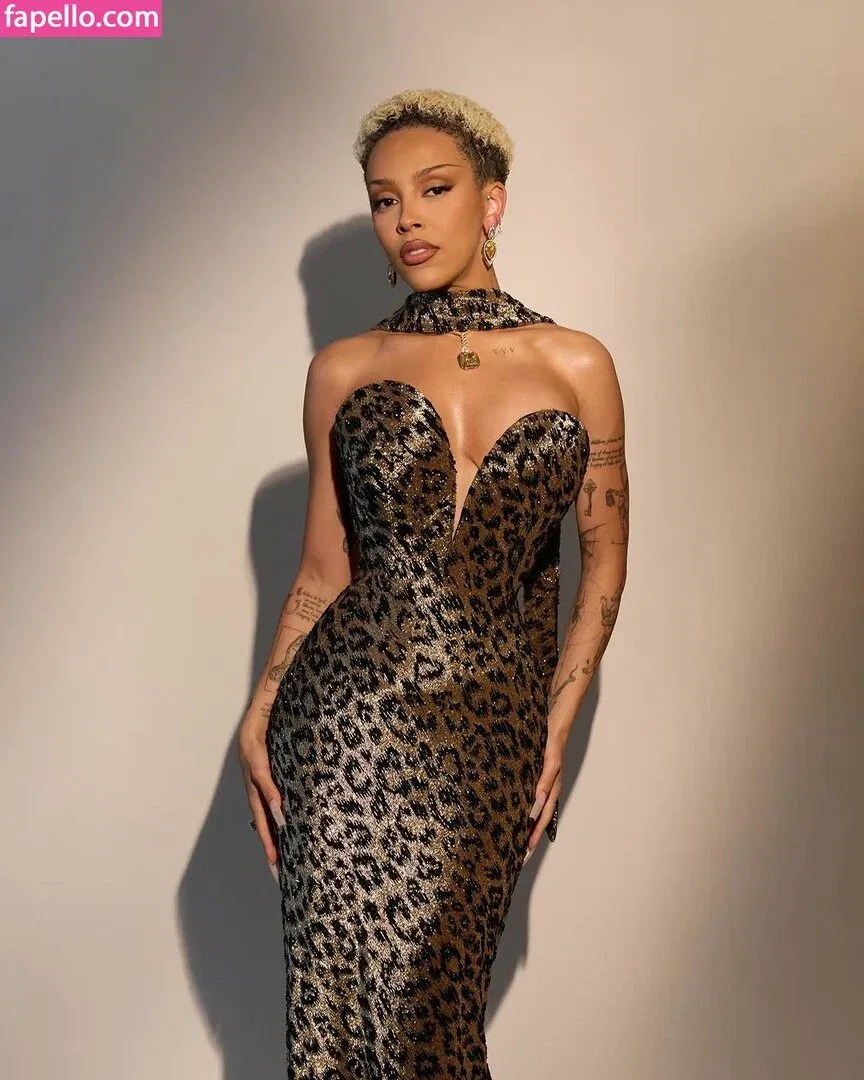 Doja Cat Onlyfans Photo Gallery 