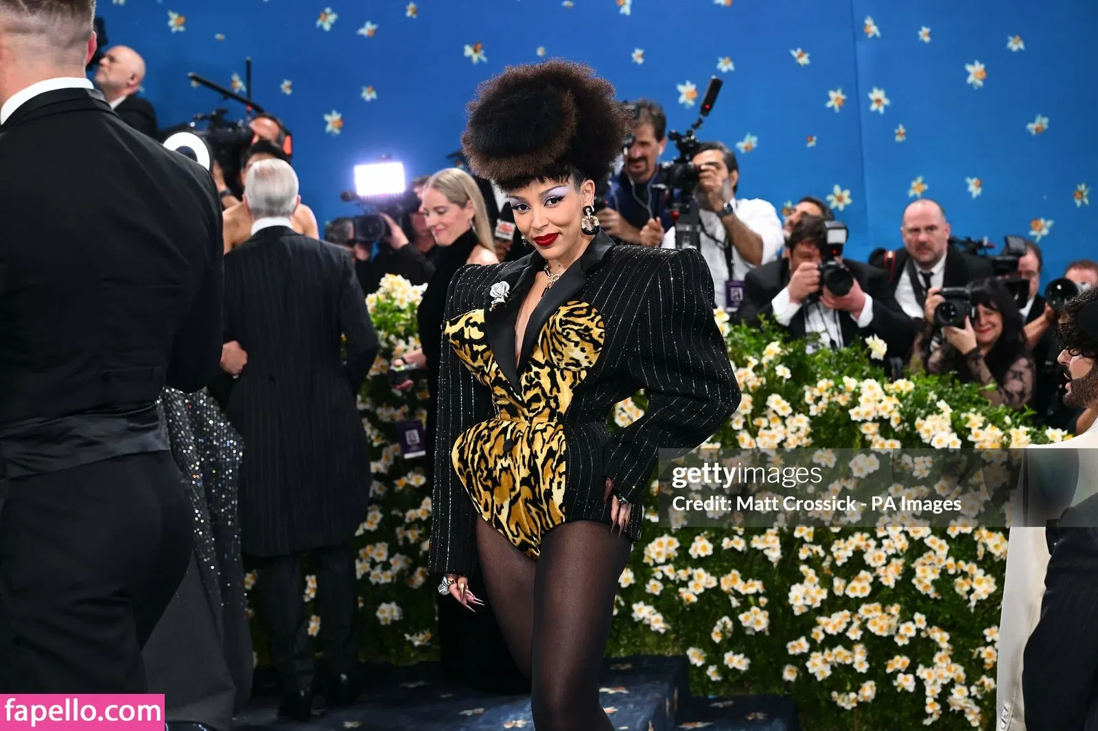 Doja Cat Onlyfans Photo Gallery 