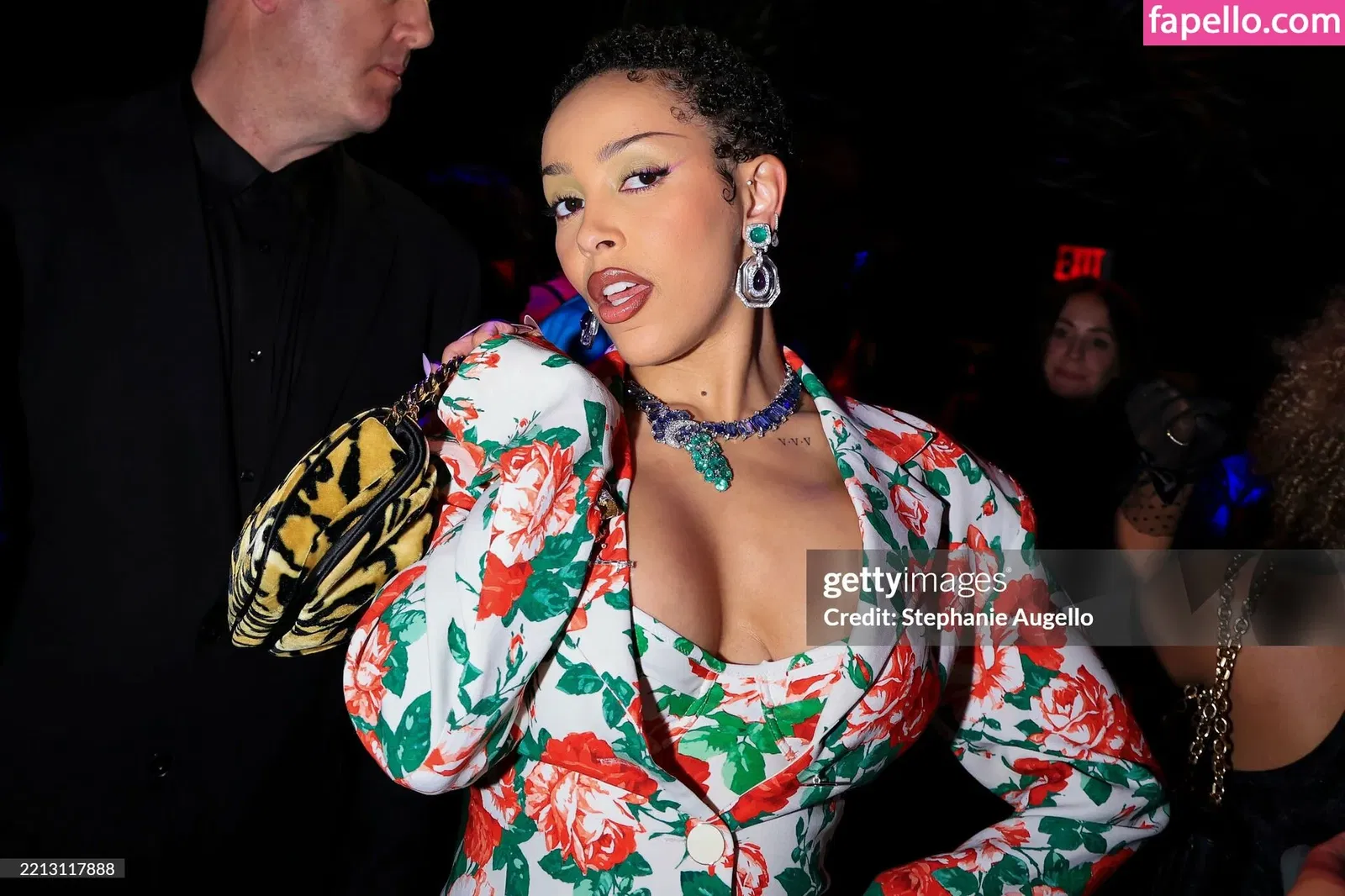 Doja Cat Onlyfans Photo Gallery 