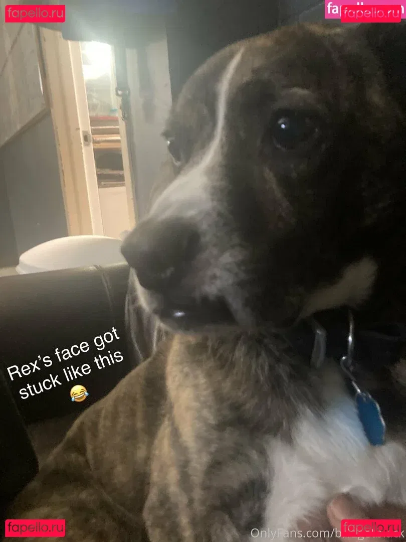 bridgetblack Onlyfans Photo Gallery 