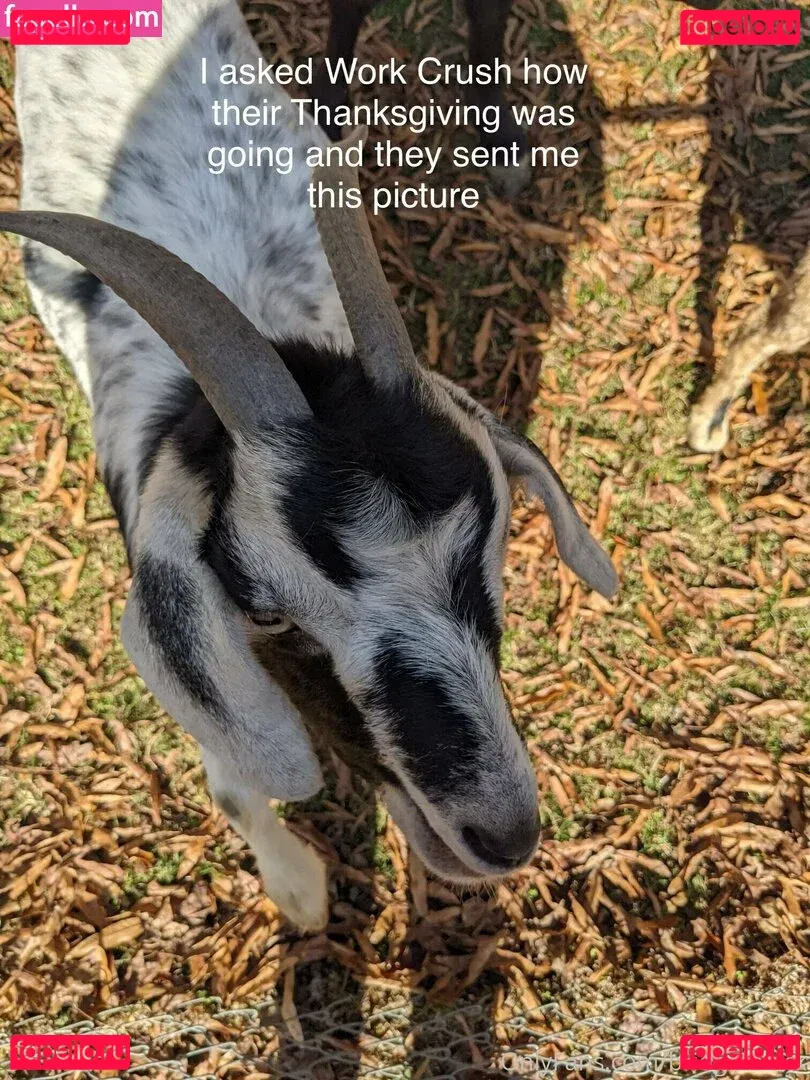 bridgetblack Onlyfans Photo Gallery 