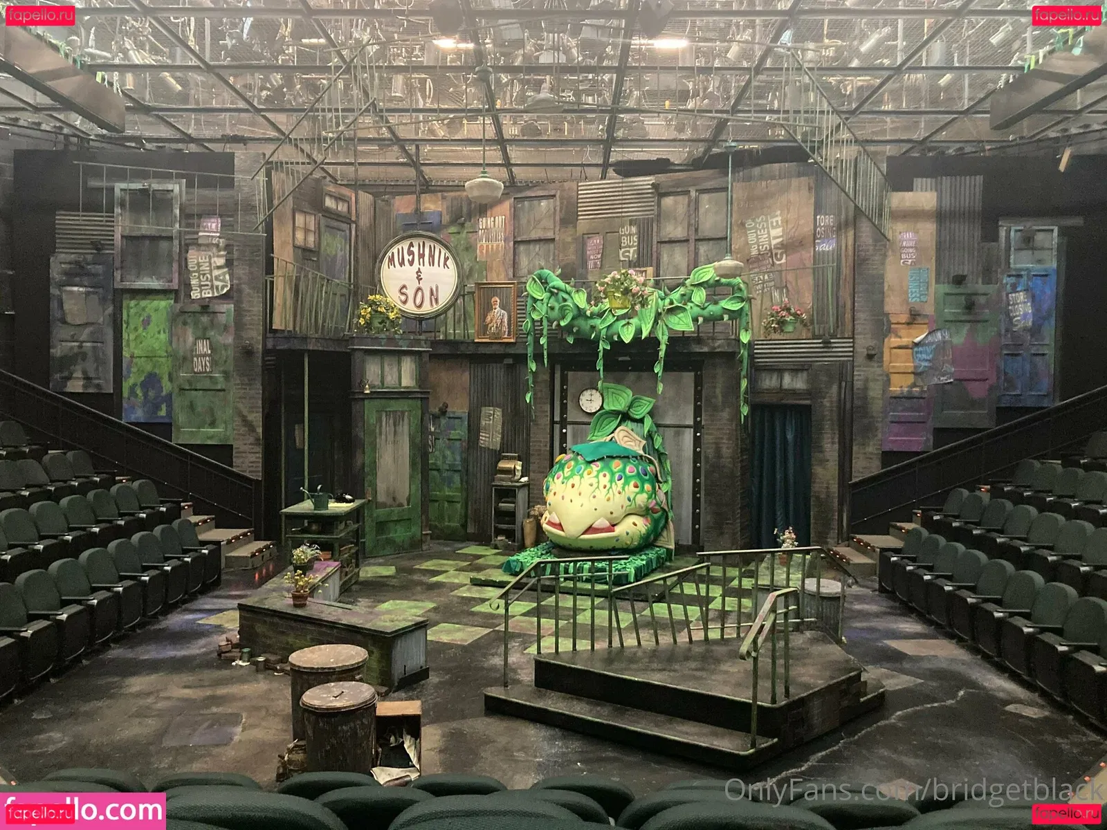 bridgetblack Onlyfans Photo Gallery 