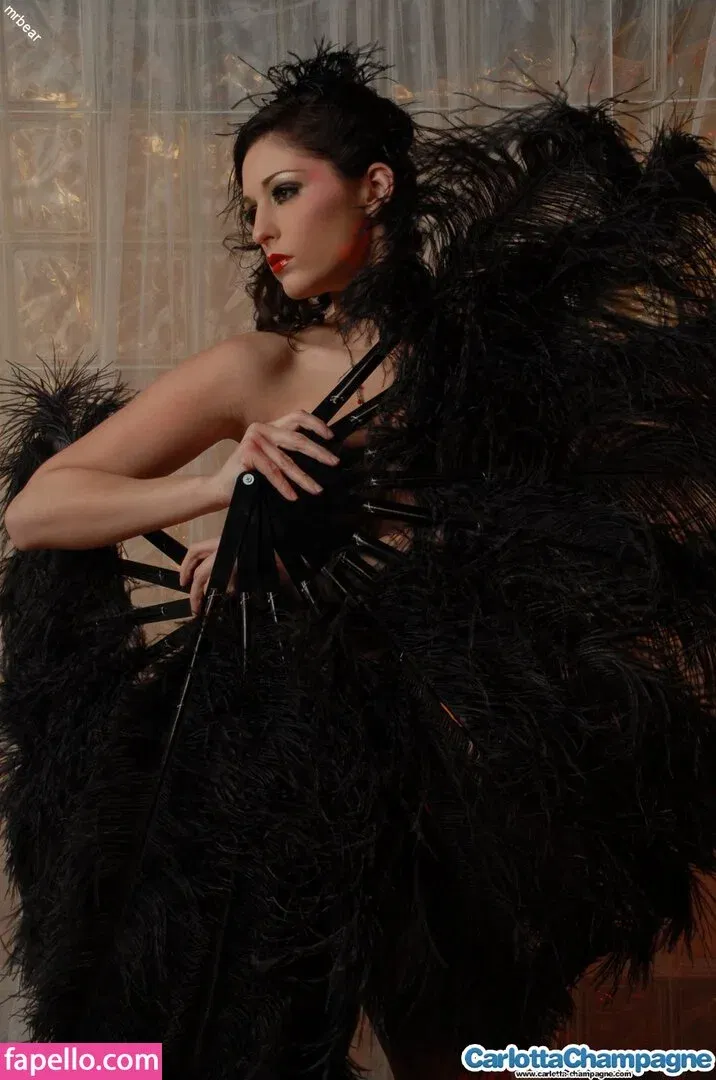 Carlotta Champagne Onlyfans Photo Gallery 