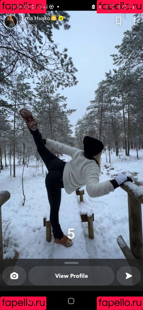 Erna Husko Onlyfans Photo Gallery 