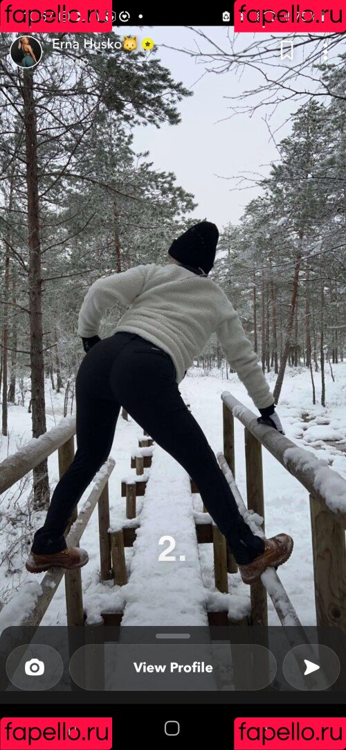 Erna Husko Onlyfans Photo Gallery 