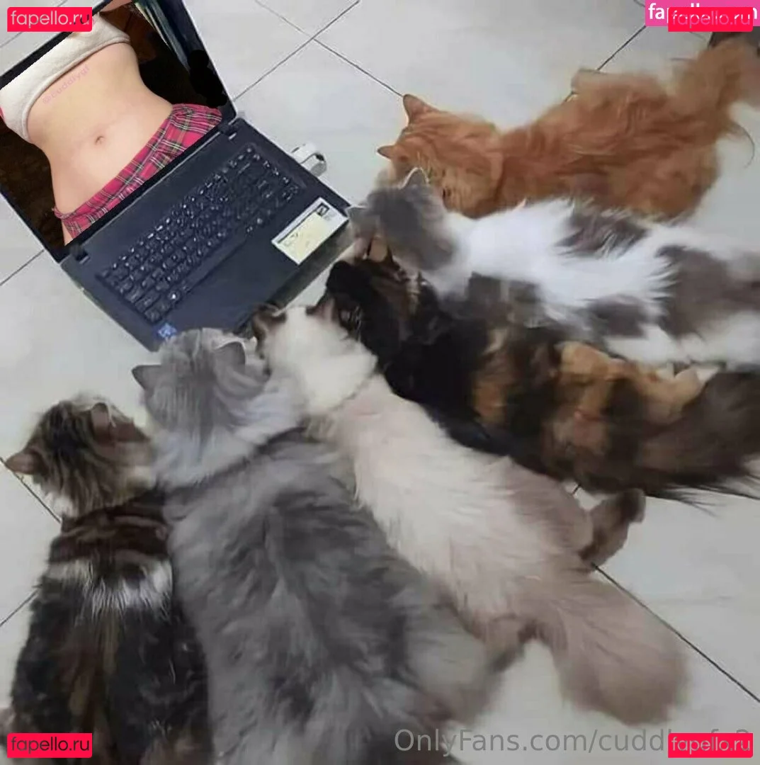 cuddlygfx2 Onlyfans Photo Gallery 