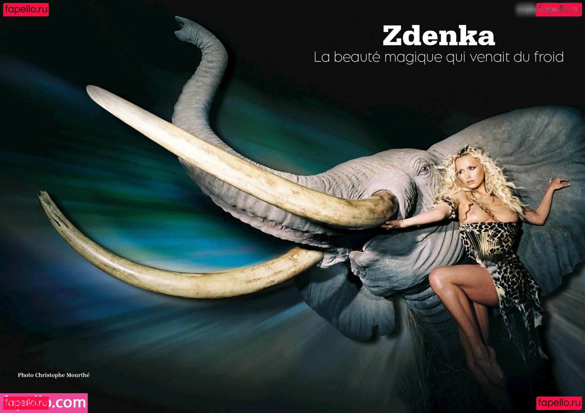 Playboy International Onlyfans Photo Gallery 