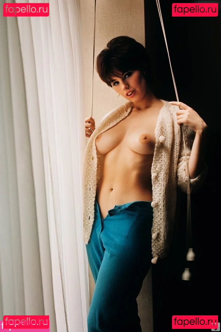 Playboy International Onlyfans Photo Gallery 